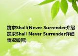 跪求Shall(Never Surrender介紹 跪求Shall Never Surrender詳細(xì)情況如何)