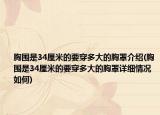 胸圍是34厘米的要穿多大的胸罩介紹(胸圍是34厘米的要穿多大的胸罩詳細情況如何)