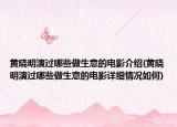 黃曉明演過哪些做生意的電影介紹(黃曉明演過哪些做生意的電影詳細情況如何)