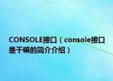 CONSOLE接口（console接口是干嘛的簡介介紹）