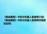 《韓城黑客》中的女機器人是誰啊介紹(《韓城黑客》中的女機器人是誰啊詳細情況如何)