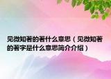 見微知著的著什么意思（見微知著的著字是什么意思簡介介紹）