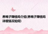 養(yǎng)鴨子賺錢嗎介紹(養(yǎng)鴨子賺錢嗎詳細情況如何)