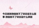 今日更新微信發(fā)不了語音是怎么回事 微信發(fā)不了語音是什么原因