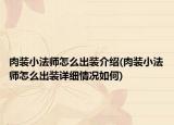 肉裝小法師怎么出裝介紹(肉裝小法師怎么出裝詳細(xì)情況如何)