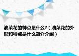 油菜花的特點(diǎn)是什么?（油菜花的外形和特點(diǎn)是什么簡介介紹）