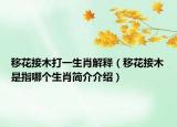 移花接木打一生肖解釋（移花接木是指哪個生肖簡介介紹）