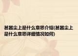 甚囂塵上是什么意思介紹(甚囂塵上是什么意思詳細(xì)情況如何)