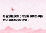 形容慧眼識(shí)珠（與慧眼識(shí)珠類(lèi)似的成語(yǔ)有哪些簡(jiǎn)介介紹）