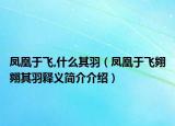 鳳凰于飛,什么其羽（鳳凰于飛翙翙其羽釋義簡(jiǎn)介介紹）