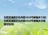 合肥濱湖新區(qū)杭州路3333號郵編多介紹(合肥濱湖新區(qū)杭州路3333號郵編多詳細(xì)情況如何)