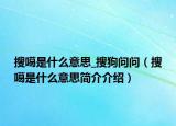 搜噶是什么意思_搜狗問問（搜噶是什么意思簡介介紹）