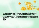 方大國是個(gè)痞子,為啥還能做官?介紹(方大國是個(gè)痞子,為啥還能做官?詳細(xì)情況如何)