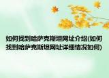 如何找到哈薩克斯坦網(wǎng)址介紹(如何找到哈薩克斯坦網(wǎng)址詳細(xì)情況如何)