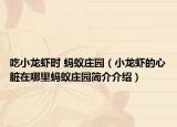 吃小龍蝦時(shí) 螞蟻莊園（小龍蝦的心臟在哪里螞蟻莊園簡(jiǎn)介介紹）