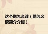 這個鸛怎么讀（鸛怎么讀簡介介紹）