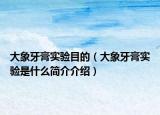 大象牙膏實(shí)驗(yàn)?zāi)康模ù笙笱栏鄬?shí)驗(yàn)是什么簡介介紹）