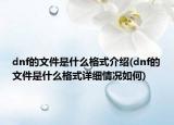 dnf的文件是什么格式介紹(dnf的文件是什么格式詳細情況如何)