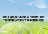 電腦正版憤怒的小鳥怎么下載介紹(電腦正版憤怒的小鳥怎么下載詳細情況如何)