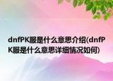 dnfPK服是什么意思介紹(dnfPK服是什么意思詳細(xì)情況如何)