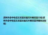 武林外史中快活王厲害還是沈天君厲害介紹(武林外史中快活王厲害還是沈天君厲害詳細情況如何)