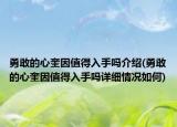 勇敢的心奎因值得入手嗎介紹(勇敢的心奎因值得入手嗎詳細(xì)情況如何)