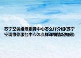 蘇寧空調(diào)維修服務(wù)中心怎么樣介紹(蘇寧空調(diào)維修服務(wù)中心怎么樣詳細(xì)情況如何)