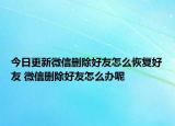 今日更新微信刪除好友怎么恢復(fù)好友 微信刪除好友怎么辦呢