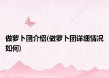 做蘿卜團(tuán)介紹(做蘿卜團(tuán)詳細(xì)情況如何)