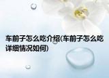 車前子怎么吃介紹(車前子怎么吃詳細情況如何)