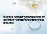 如何區(qū)別某個動物是環(huán)節(jié)動物還是線形動物介紹(如何區(qū)別某個動物是環(huán)節(jié)動物還是線形動物詳細(xì)情況如何)