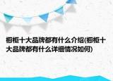 櫥柜十大品牌都有什么介紹(櫥柜十大品牌都有什么詳細(xì)情況如何)