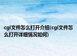 cgi文件怎么打開介紹(cgi文件怎么打開詳細情況如何)