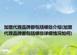 加盟代理品牌都包括哪些介紹(加盟代理品牌都包括哪些詳細(xì)情況如何)