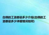 白領(lǐng)的工資都是多少介紹(白領(lǐng)的工資都是多少詳細(xì)情況如何)