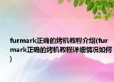 furmark正確的烤機(jī)教程介紹(furmark正確的烤機(jī)教程詳細(xì)情況如何)