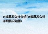 st梅雁怎么樣介紹(st梅雁怎么樣詳細(xì)情況如何)