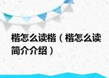 楷怎么讀楷（楷怎么讀簡(jiǎn)介介紹）