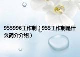 955996工作制（955工作制是什么簡(jiǎn)介介紹）