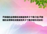 龔琳娜的金箍棒歌詞里面有多少個棒介紹(龔琳娜的金箍棒歌詞里面有多少個棒詳細(xì)情況如何)