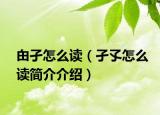 甶孑怎么讀（孑孓怎么讀簡(jiǎn)介介紹）