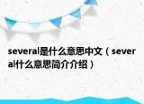 several是什么意思中文（several什么意思簡(jiǎn)介介紹）