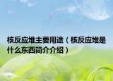 核反應(yīng)堆主要用途（核反應(yīng)堆是什么東西簡介介紹）
