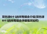 雙色球6十1的所有組合介紹(雙色球6十1的所有組合詳細(xì)情況如何)