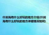 什剎海有什么好玩的地方介紹(什剎海有什么好玩的地方詳細情況如何)