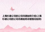 上海杉德公司的公司待遇如何介紹(上海杉德公司的公司待遇如何詳細(xì)情況如何)