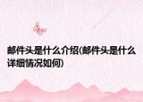郵件頭是什么介紹(郵件頭是什么詳細情況如何)