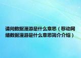 請問數(shù)據(jù)漫游是什么意思（移動網(wǎng)絡數(shù)據(jù)漫游是什么意思簡介介紹）