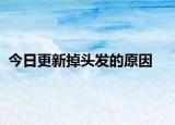 今日更新掉頭發(fā)的原因
