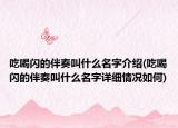 吃喝閃的伴奏叫什么名字介紹(吃喝閃的伴奏叫什么名字詳細(xì)情況如何)